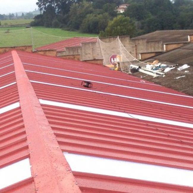 Reparación de tejados en León